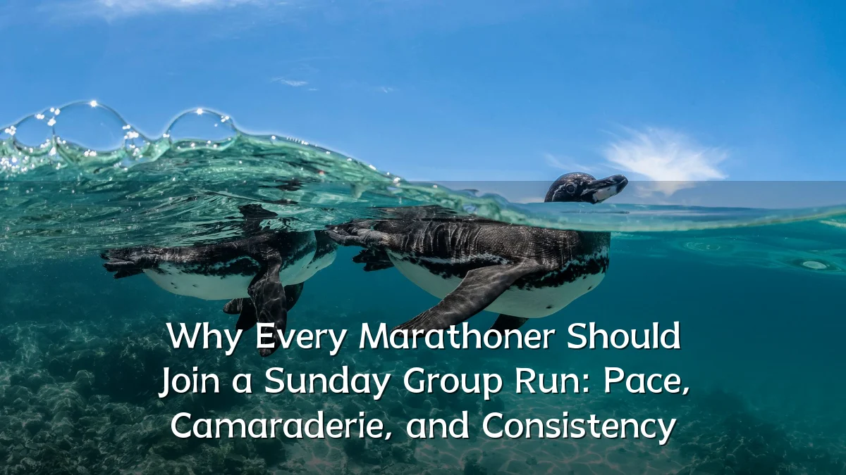 Why Every Marathoner Should Join a Sunday Group Run: Pace, Camaraderie, and Consistency